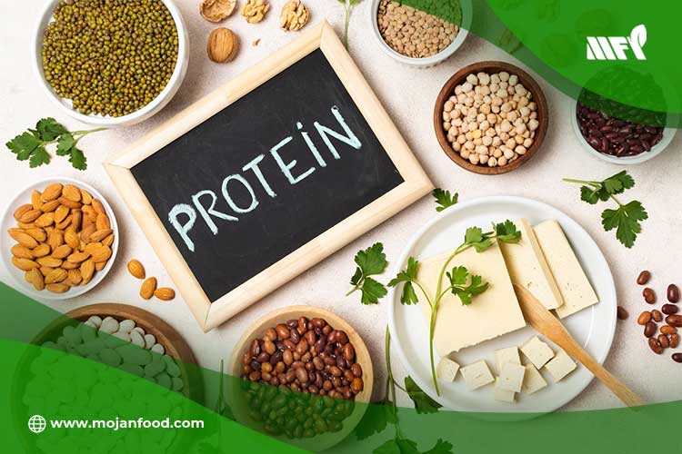 پروتئین چیست؟ آشنایی با انواع پروتئین و وظیفه آن‌ها