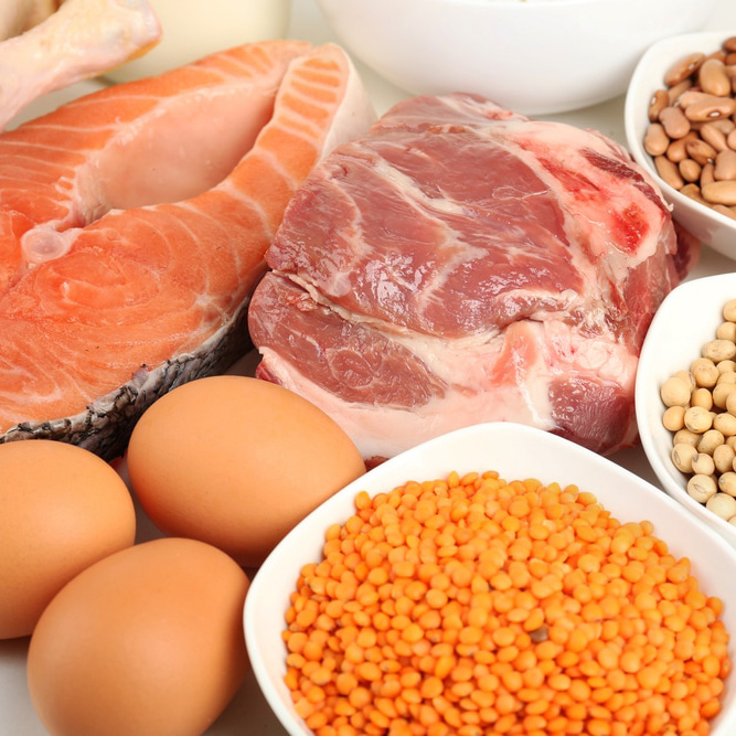 پروتئین حیوانی یا پروئین گیاهی: کدام بهتر است؟